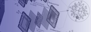 Fuel Cell Testing System